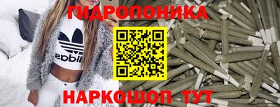 дмт Славгород