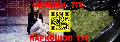 дмт Славгород