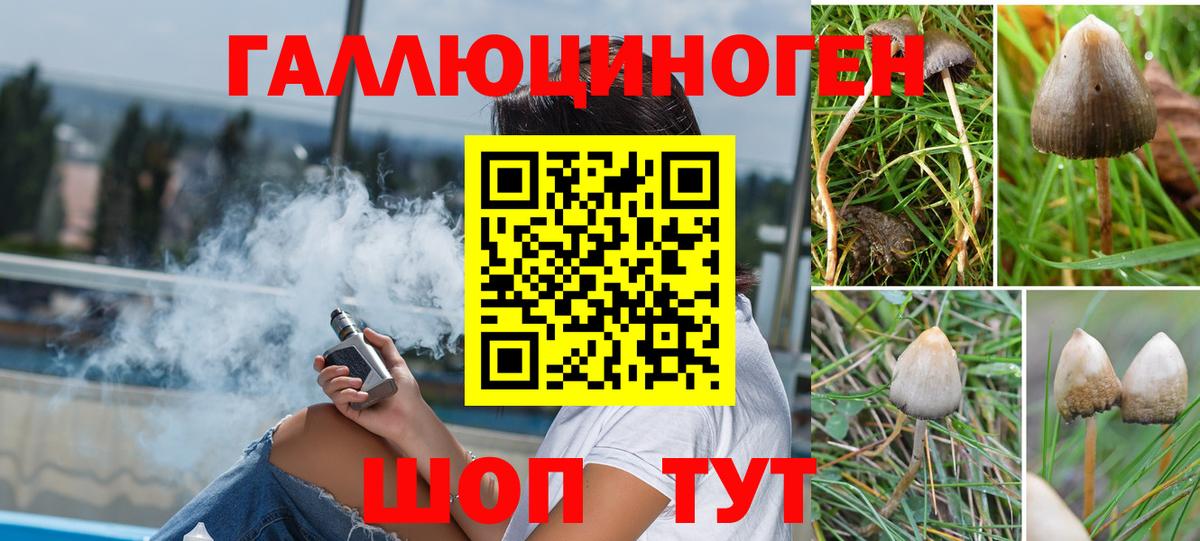 Псилоцибиновые грибы прущие грибы  Псилоцибиновые грибы Cubensis  Мурманск  Вход с VPN 