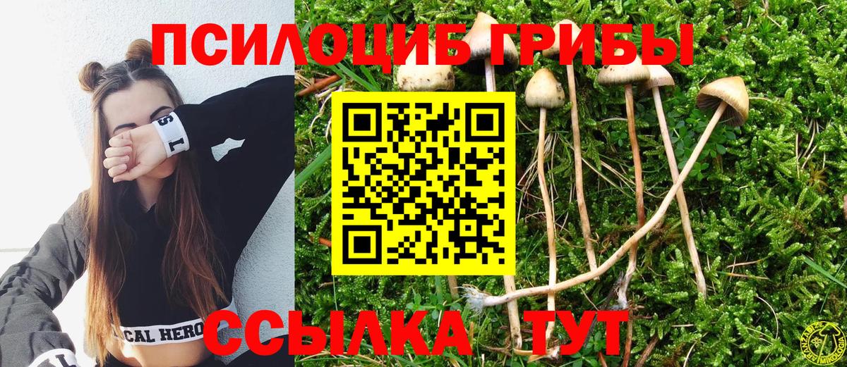 Галлюциногенные грибы мицелий Мурманск