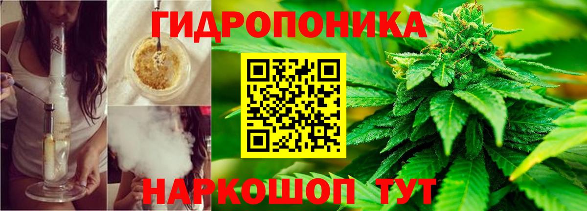 Канабис OG Kush  Канабис сатива  Каннабис SATIVA & INDICA  Мурманск  Вход с VPN 